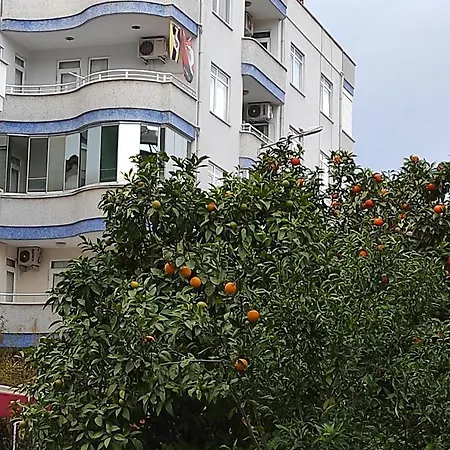 דירה Manolya Apartment. Alanya, Center
